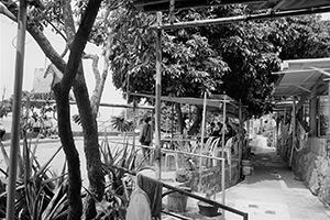 Village scene, Sham Wat, Lantau, 20 March 2016