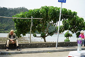 Tree near the water's edge, Sham Wat, Lantau, 20 March 2016