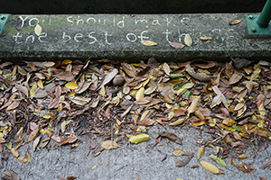 Graffiti and leaves, Lantau, 20 March 2016