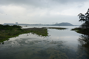 Coastal scenery, Lantau, 20 March 2016