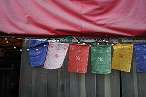 Flags, Lantau, 20 March 2016
