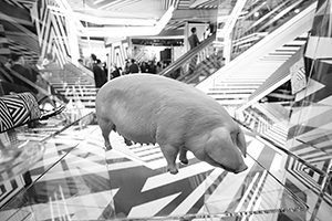 Op-art installation  by Tobias Rehberger for the MCM store, Entertainment Building, Central, as a satellite event of Art Basel, 23 March 2016