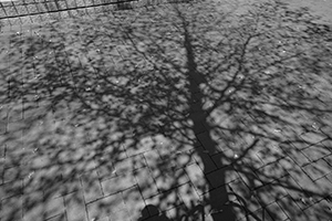 Shadows, Queen's Road West, Sheung Wan, 26 March 2016