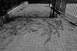 Shadows on the pavement, Queen's Road West, Sheung Wan, 26 March 2016