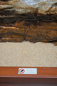 'No sand drawing' sign, Nan Lian Garden, Diamond Hill, 3 April 2016