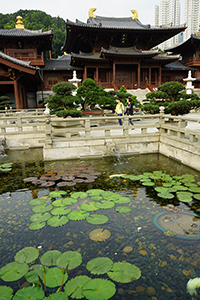 Lotus pond in Chi Lin Nunnery, Diamond Hill, 3 April 2016