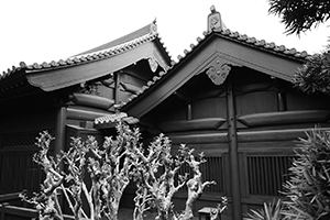 Chi Lin Nunnery, Diamond Hill, 3 April 2016