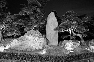 Nan Lian Garden, Diamond Hill, 3 April 2016