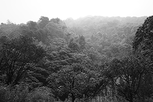 Lung Fu Shan, view from the University of Hong Kong, 13 April 2016