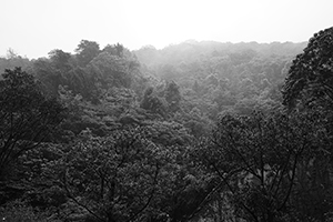 Lung Fu Shan, view from the University of Hong Kong, 13 April 2016