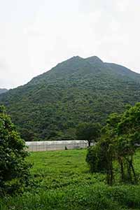 Scene from a hike in the New Territories, 17 April 2016