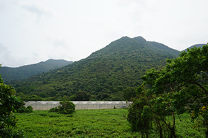 Scene from a hike in the New Territories, 17 April 2016