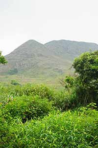 Scene from a hike in the New Territories, 17 April 2016