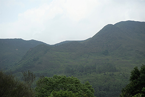 Scene from a hike in the New Territories, 17 April 2016