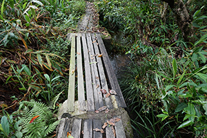 Bridge over a stream, New Territories, 17 April 2016