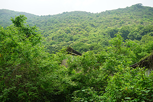 A scene on a hike in the New Territories, 17 April 2016