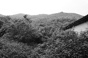 A scene on a hike in the New Territories, 17 April 2016
