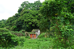 Sha Lo Tung village, Pat Sing Leng Country Park, 17 April 2016
