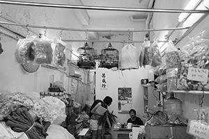 Bird cages and a cat in a shop on Queen's Road West, Sai Ying Pun, 30 April 2016