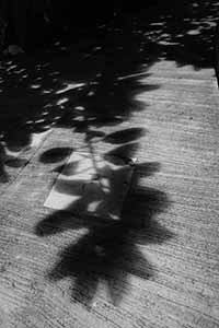 Shadow on the ground, Sheung Wan, 25 April 2016