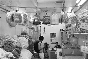 Bird cages and a cat in a shop on Queen's Road West, Sai Ying Pun, 30 April 2016