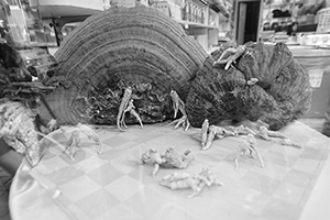 Dry goods store window display in Sheung Wan, Hong Kong Island, 1 May 2016