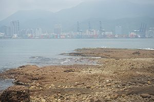 Ap Chau, 15 May 2016