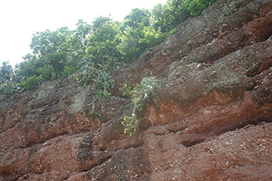Ap Chau, 15 May 2016