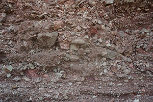 Rock, Ap Chau, 15 May 2016