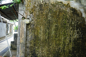 Wall, Kat O, 15 May 2016