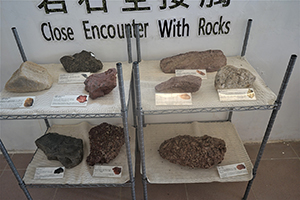 Display of rocks, Kat O, 15 May 2016