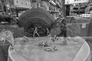 Dry goods store window display in Sheung Wan, Hong Kong Island, 1 May 2016