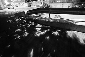 Shadows of a tree, Western Fire Services Street, Sheung Wan, 24 May 2016