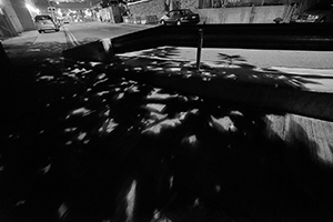 Shadows of a tree, Western Fire Services Street, Sheung Wan, 24 May 2016
