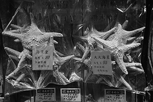 Starfish for sale, Sheung Wan, 12 May 2016