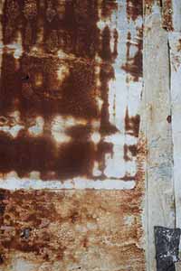 Rust, Ap Chau, 15 May 2016