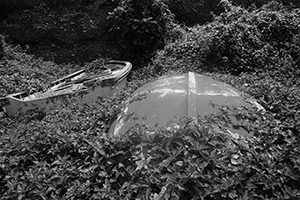 Boats, Ap Chau, 15 May 2016