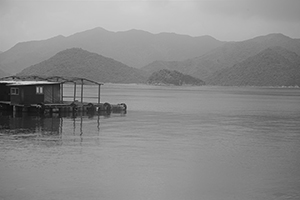 A view from Ap Chau, 15 May 2016