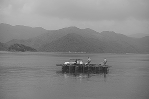 A view from Ap Chau, 15 May 2016