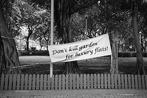 Cadogan Street Temporary Garden, Kennedy Town, 9 June 2016