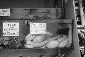 Seafood in a restaurant tank, Kennedy Town, 12 June 2016