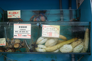 Live produce in a seafood restaurant, Kennedy Town, 12 June 2016