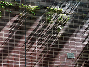 Wall on the HKU campus, 17 June 2016