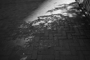 Shadows, Sheung Wan, 23 June 2016