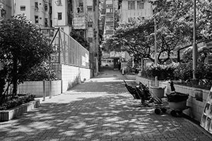 Sutherland Street, Sai Ying Pun, 26 June 2016