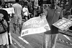 A protester handing out small pro-democracy banners to participants at the annual protest march, 1 July 2016