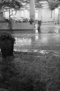 Rain at night, Queen Street, Sheung Wan, 9 July 2016