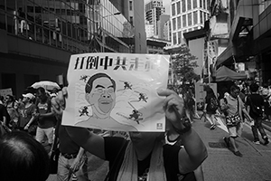 Annual protest march, Irving Street, Causeway Bay, 1 July 2016