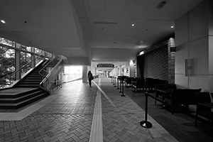 Upper University Street, University of Hong Kong, Pokfulam, 22 August 2016