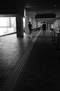 Upper University Street, University of Hong Kong, Pokfulam, 22 August 2016